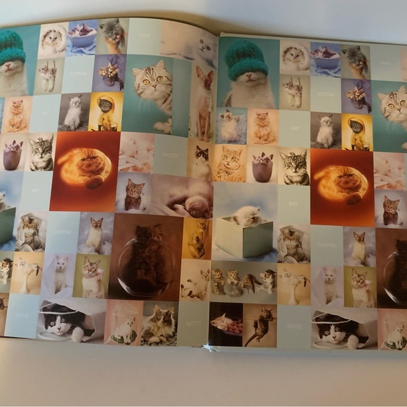 My cat record book hardcover keepsake journal by photographer Rachel hale - Picture 6 of 11